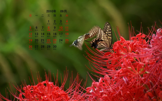 496499 (a): :1440x900
